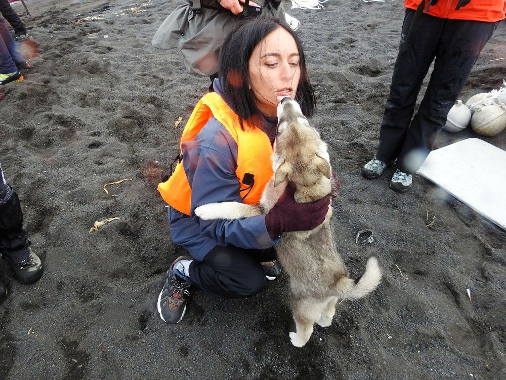 Photograph by Николай Александрович