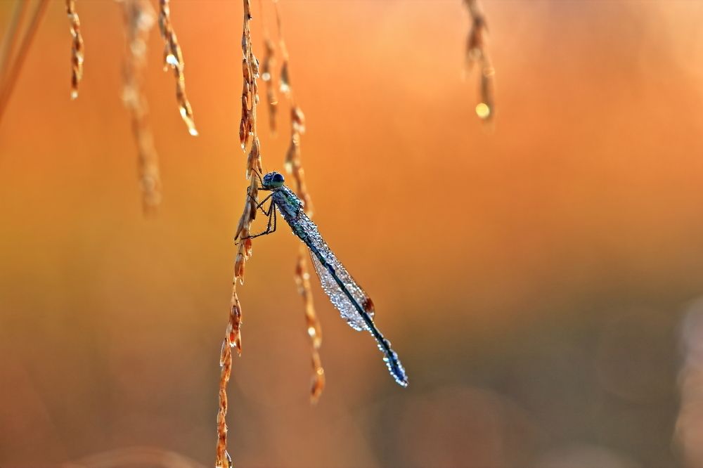 Photograph by Олег Резенов