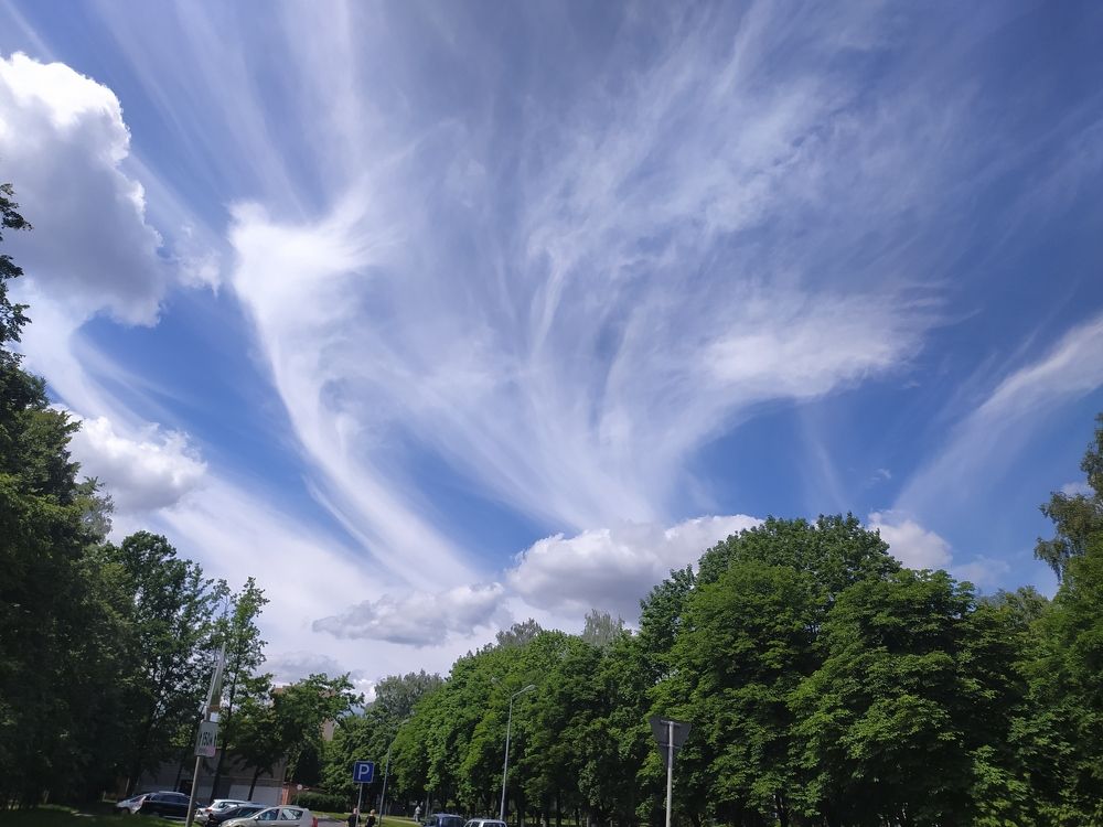 Photograph by Ирина Половцева