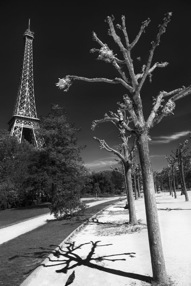 Photograph by Марианна Привроцкая