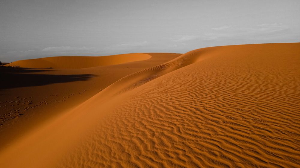 Photograph by Meriam Habaia