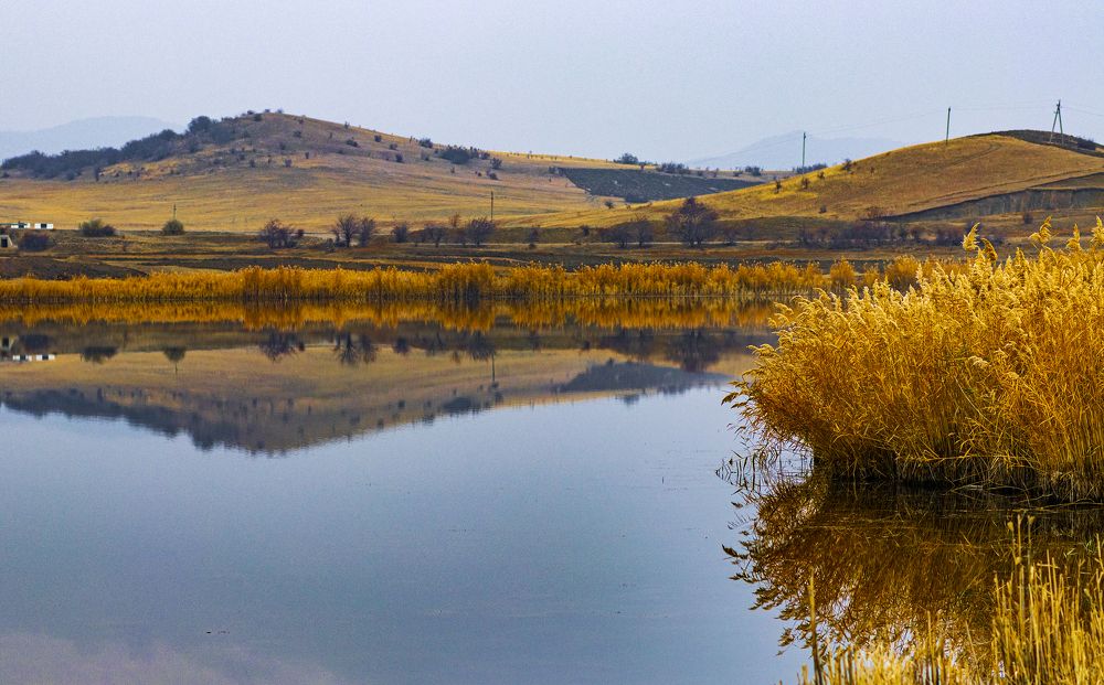 Photograph by Alex Kalpus