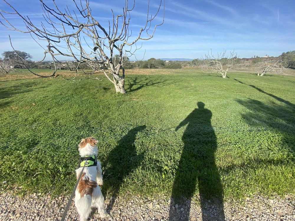 Фотография автора Jian Ma