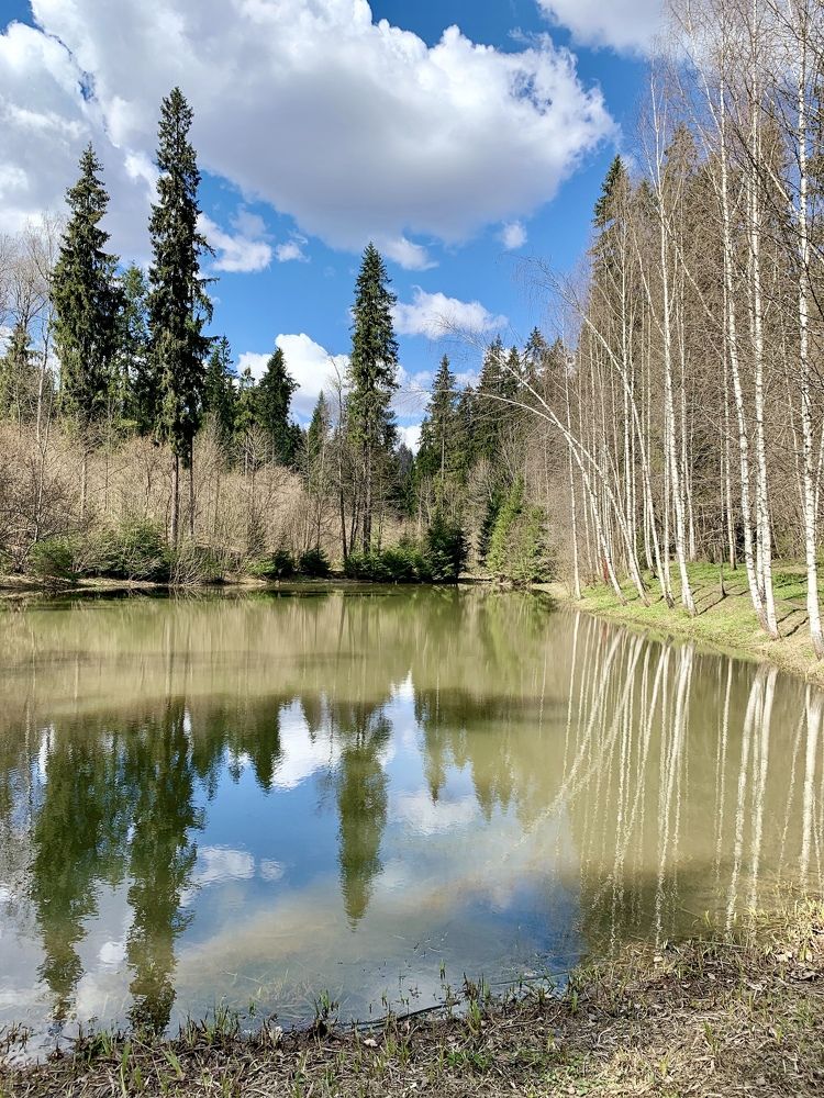 Photograph by Елена Смирнова