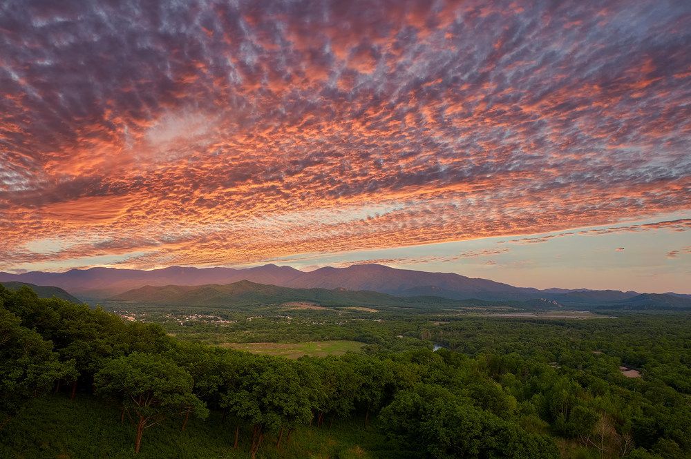 июльский вечер