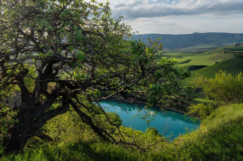 Photograph by Ирина Мошковская