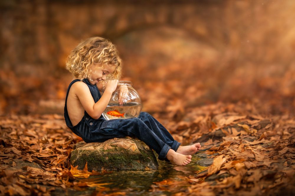 Photograph by osher pashinsky