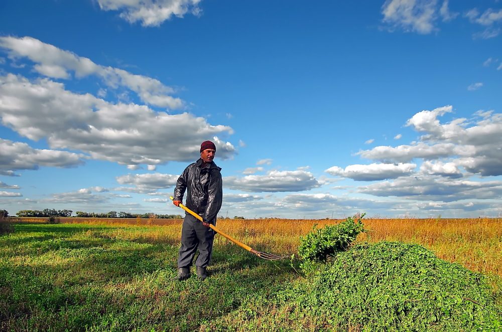 Photograph by Анатолий Святой