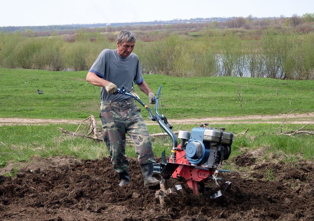 Photograph by Глеб Кузьминых