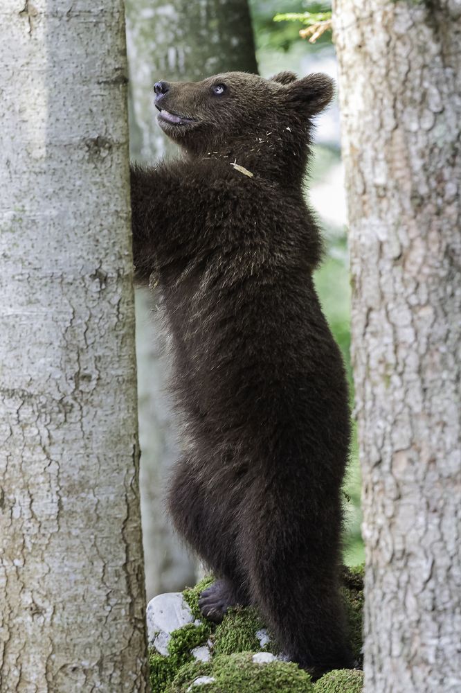 Photograph by Edwin van der Meer