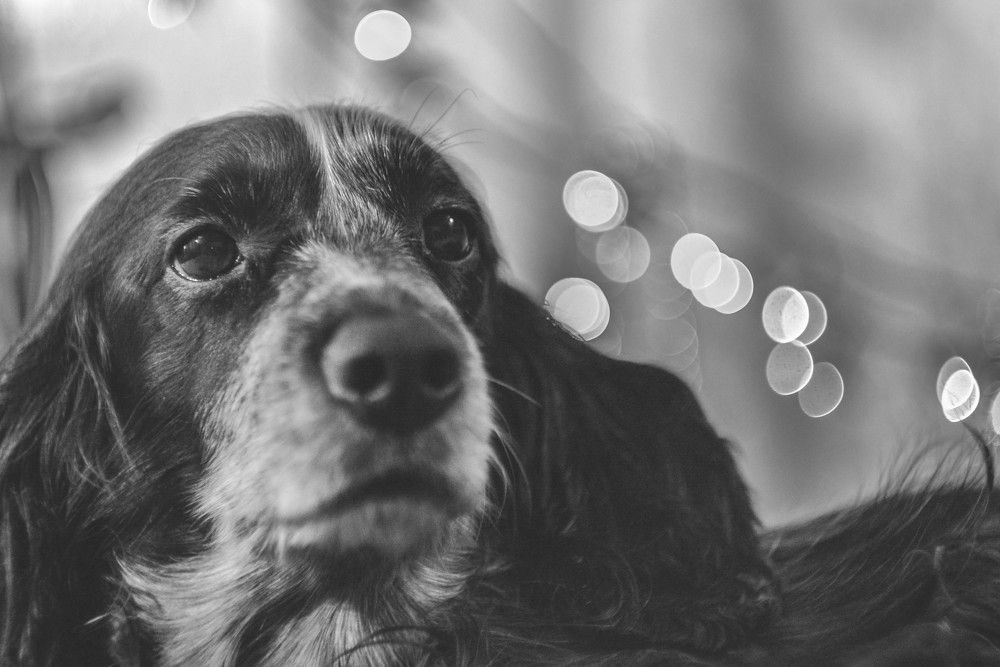 Photograph by Алексей Ильин