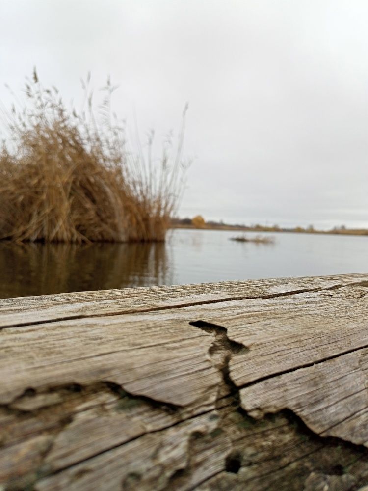 Photograph by Светлана Узинцева