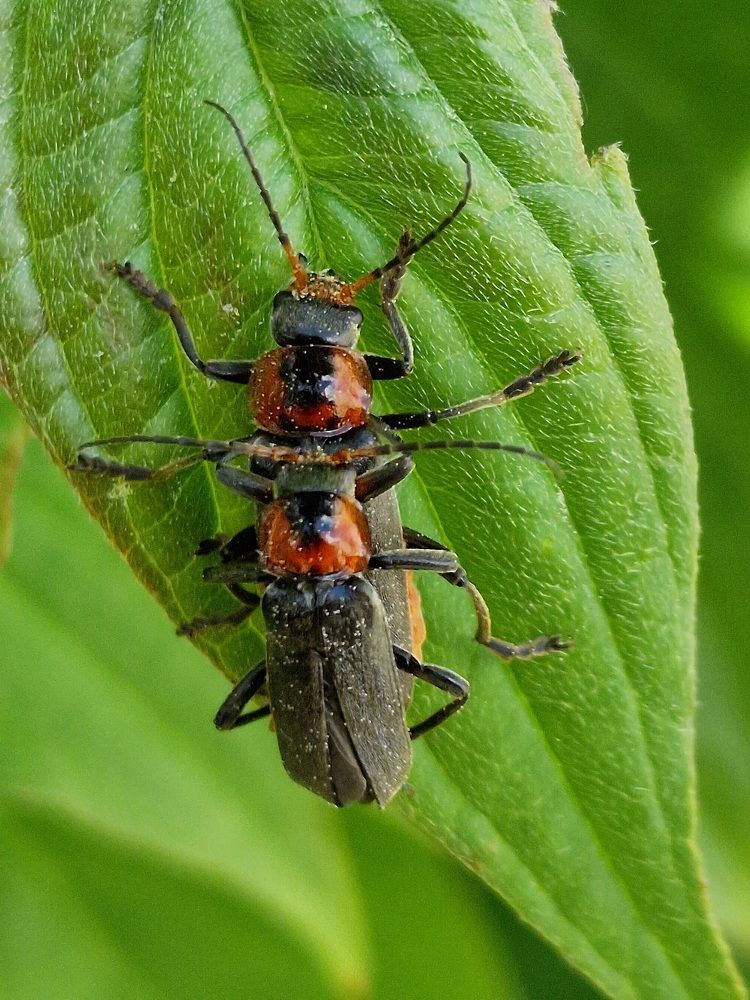 Фотография автора Ольга