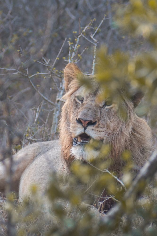 Photograph by Zandri Gillespie