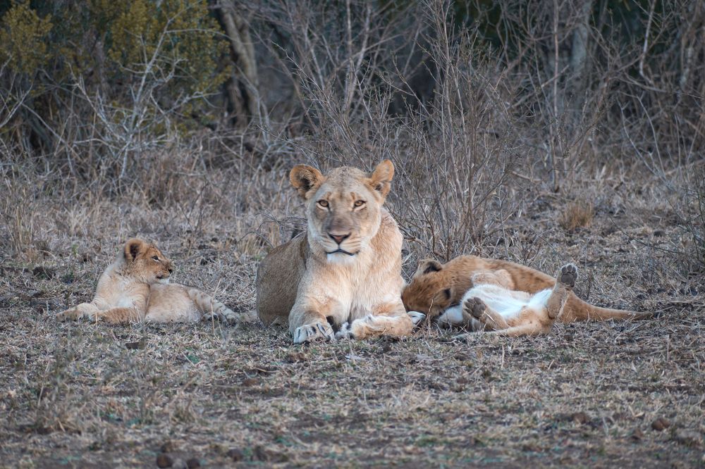 Photograph by Zandri Gillespie