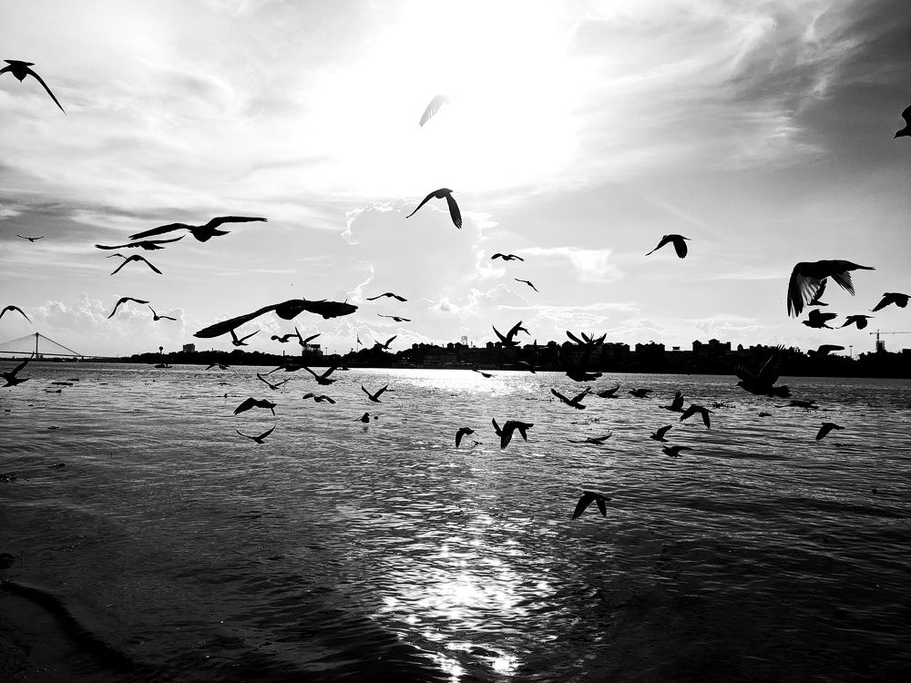 Photograph by Trishik Bose