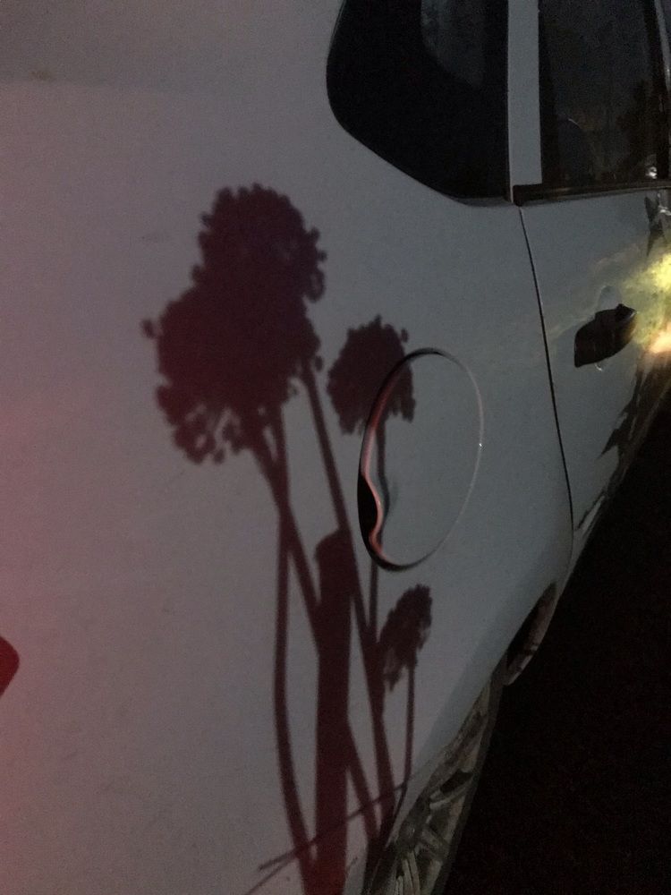 Photograph by Ильмира Сидоркина