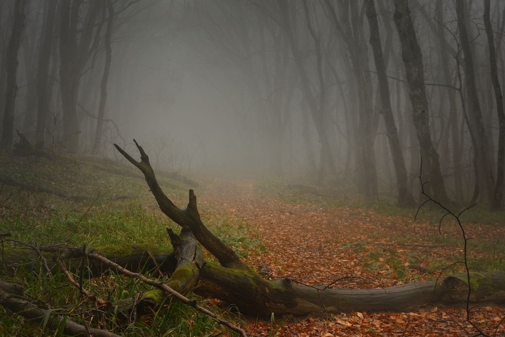 Осеннее утро