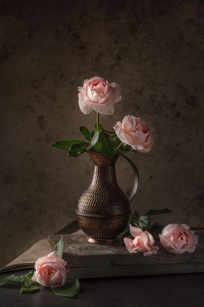 Фотография автора Ольга ЯR