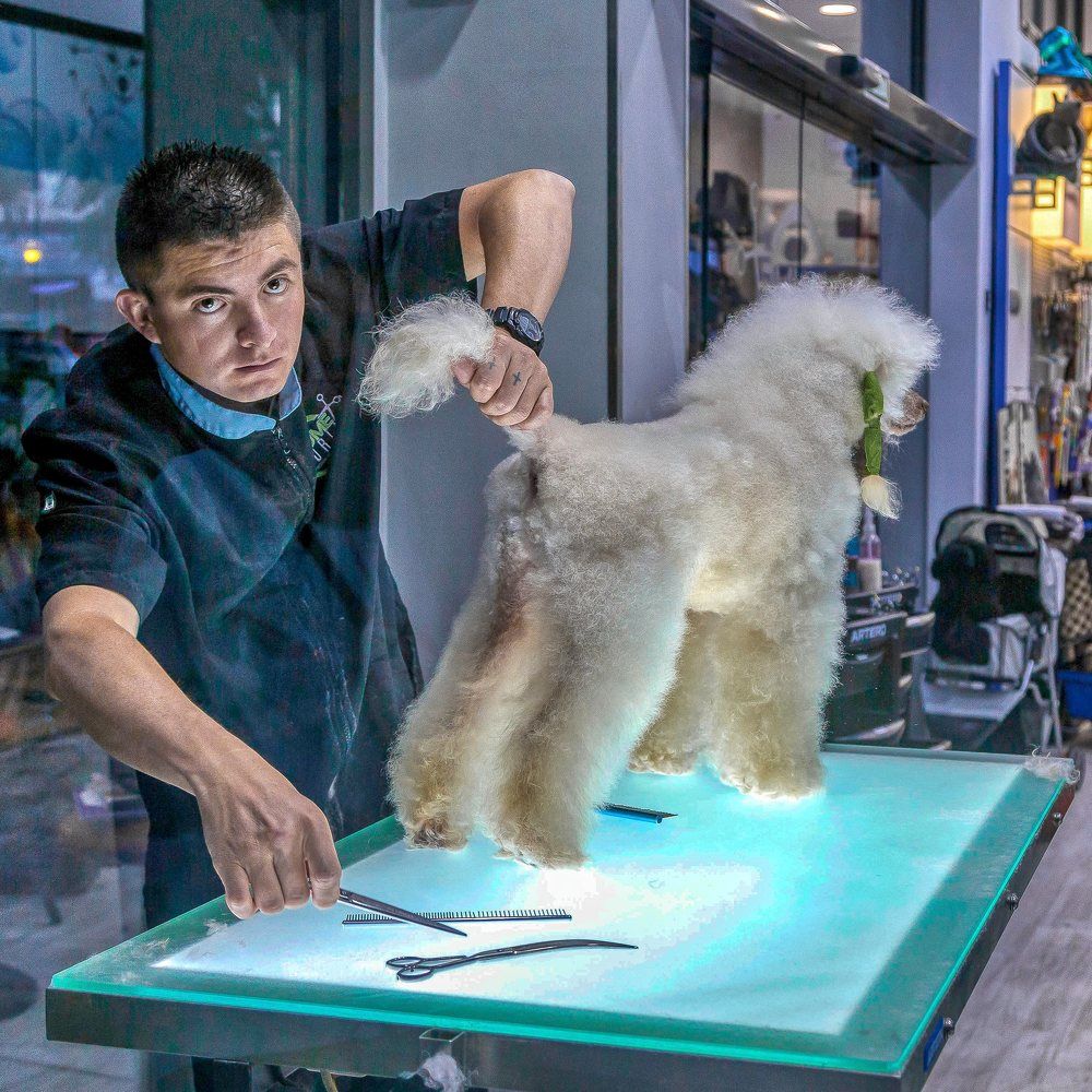 Photograph by Виталий Дорош