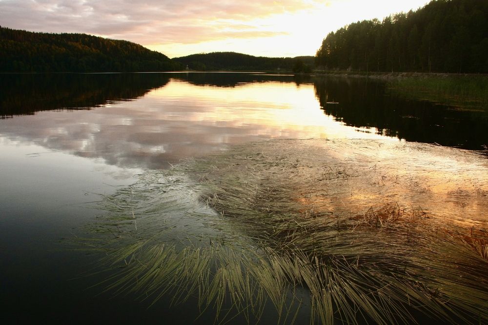 Photograph by Олег Банковский