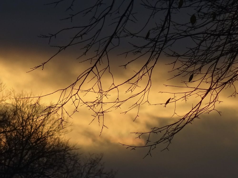 Photograph by Sona Sahakian