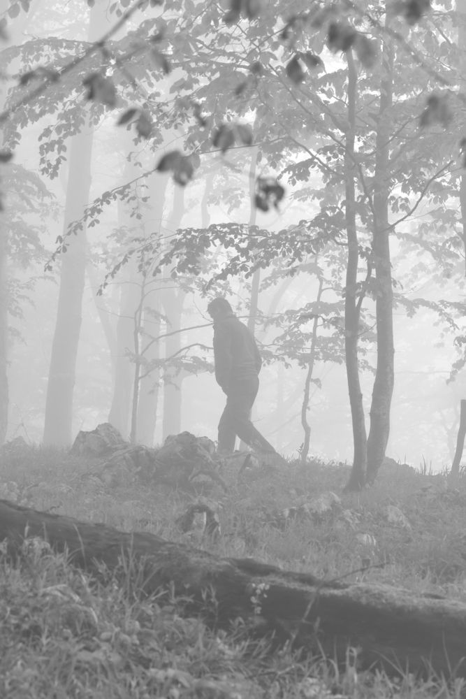 Photograph by Marija Milosavljevic