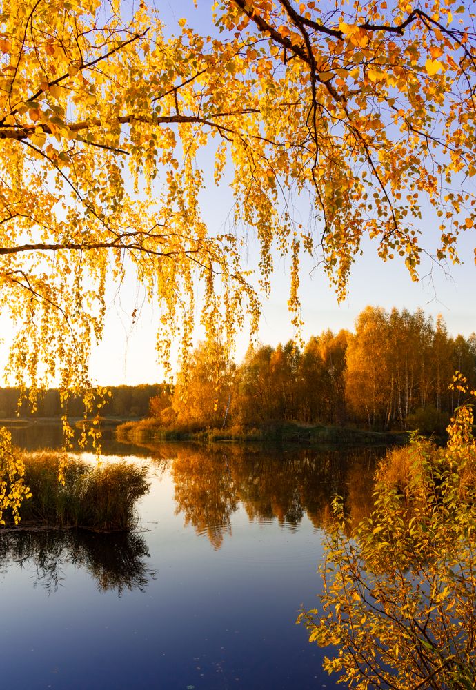 Photograph by Галина Эмберг