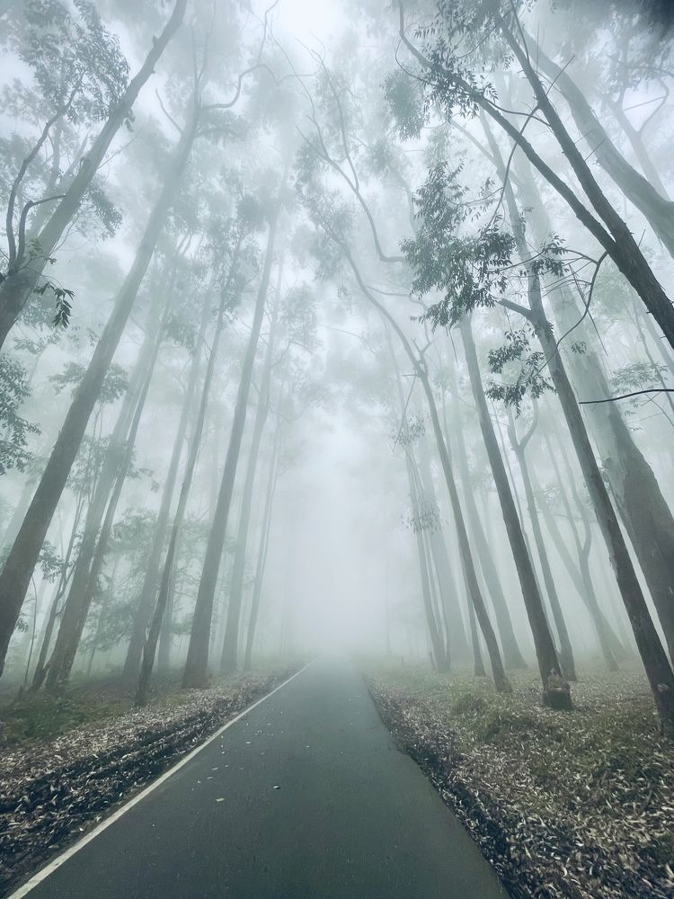 Photograph by Sachin Jayawardana