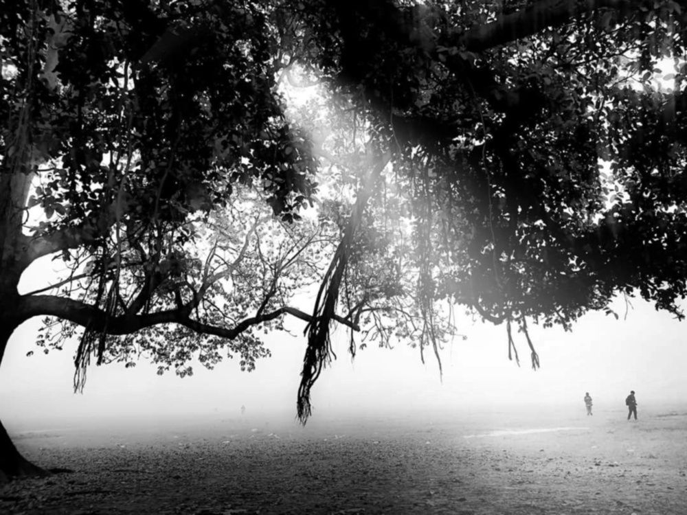 Photograph by Sunny Deb