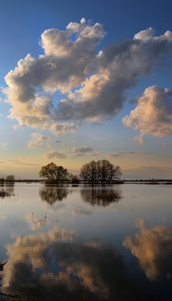 Photograph by Майя Синичкина