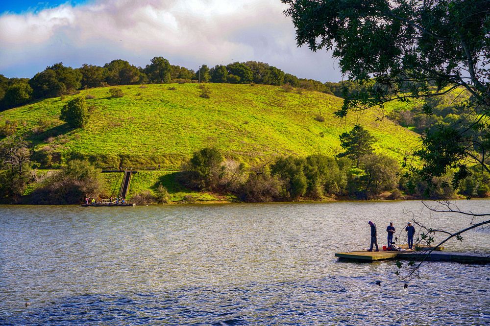 Photograph by Владимир Гречанинов