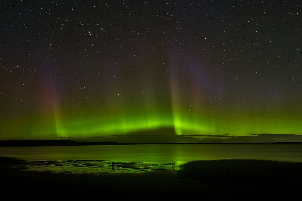 Фотография автора Леденёв Сергей