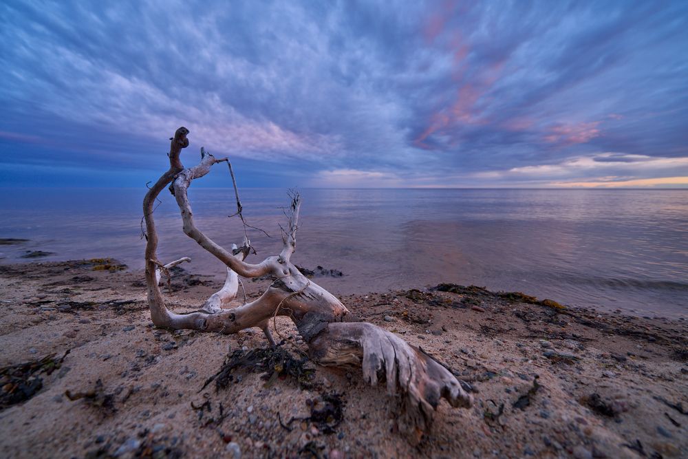 Фотография автора Леденёв Сергей