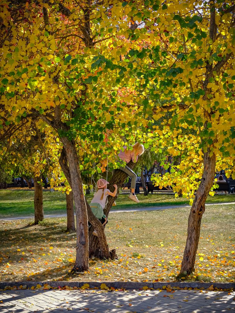 Photograph by Андрей Чернышов