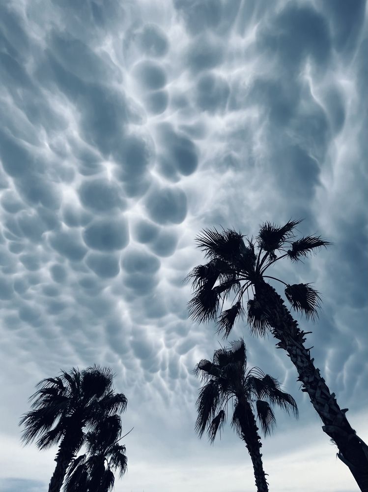 Photograph by Yuliya Altunyuva