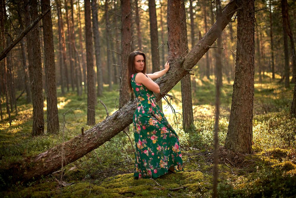 Фотография автора Леденёв Сергей