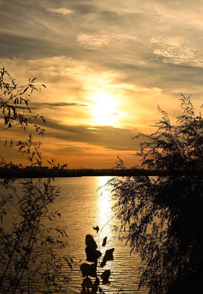 Photograph by Светлана Вербицкая