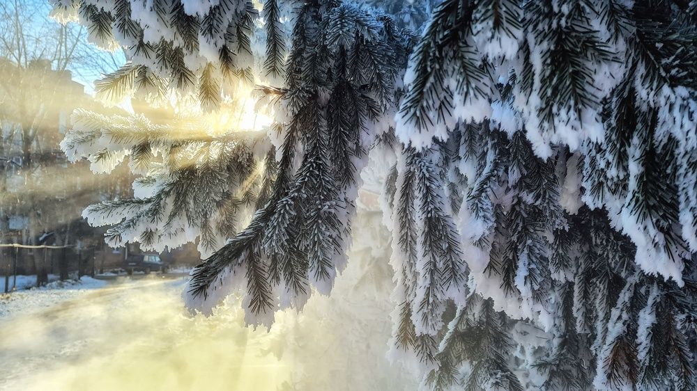 Сибирские морозы