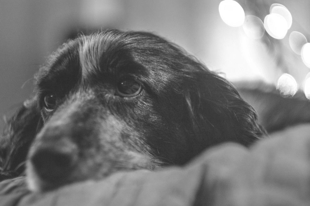 Photograph by Алексей Ильин