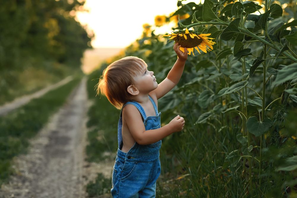Photograph by Марина Пилипенко