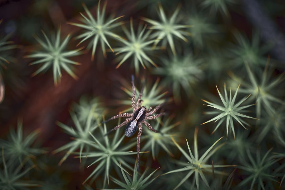 Фотография автора Леденёв Сергей