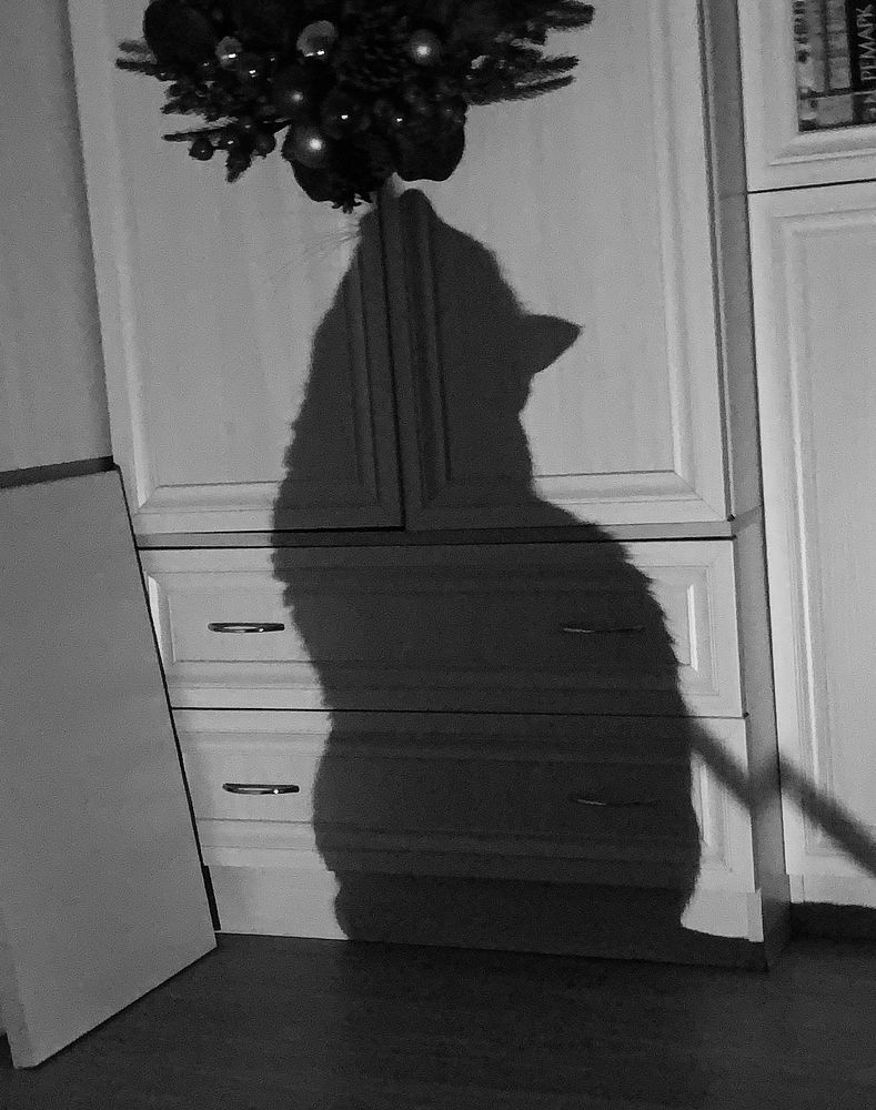 Photograph by Елена Макуха