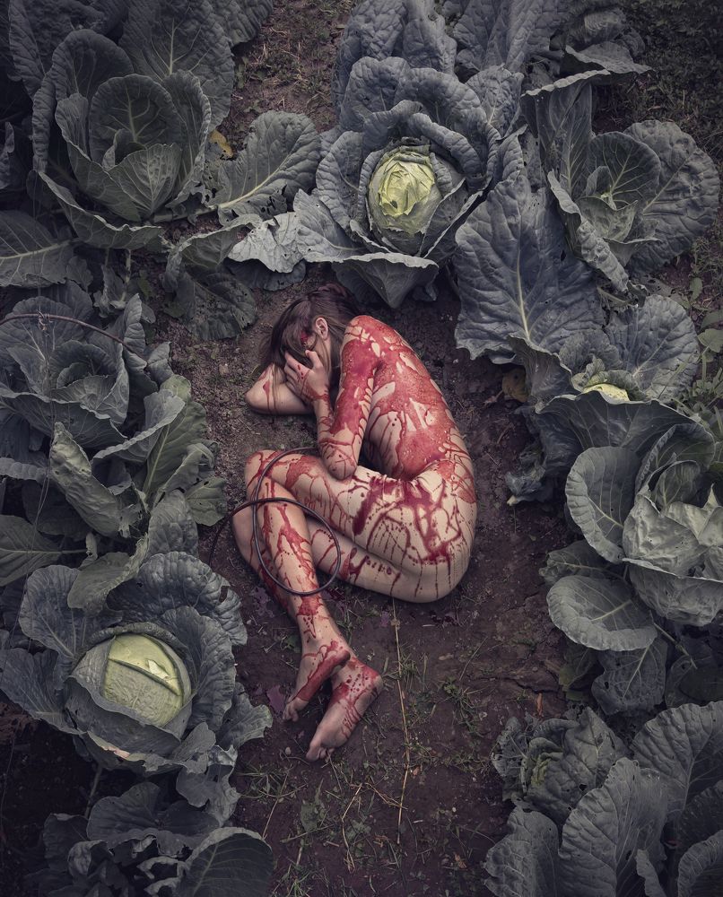 Фотография автора Наталья Яковлева