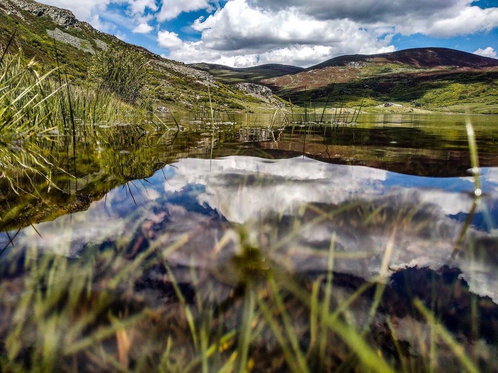 Photograph by JOSE LIMA RODRIGUES