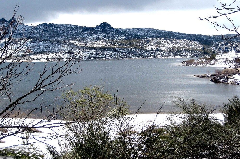 Photograph by JOSE LIMA RODRIGUES