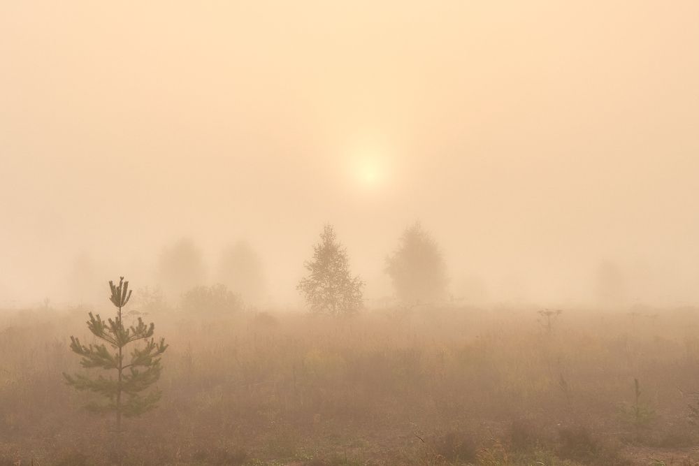 Фотография автора Леденёв Сергей