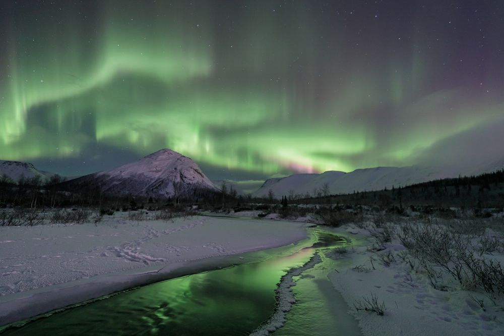 Танец Авроры