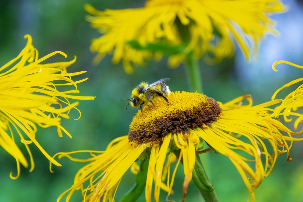 Photograph by Анатолий