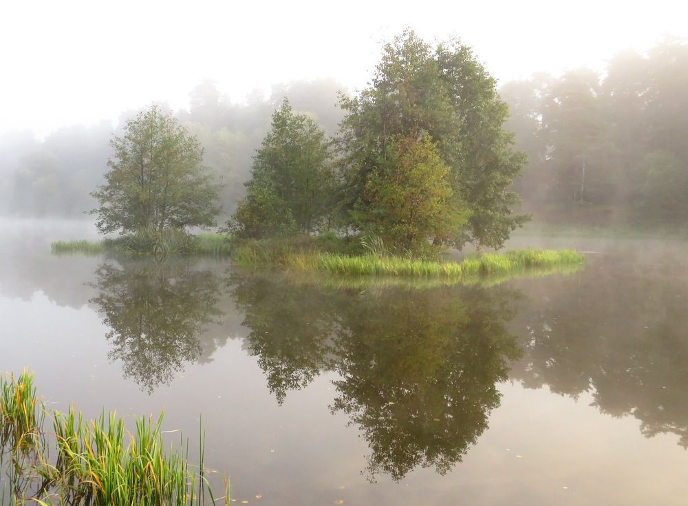 Среди туманного озера